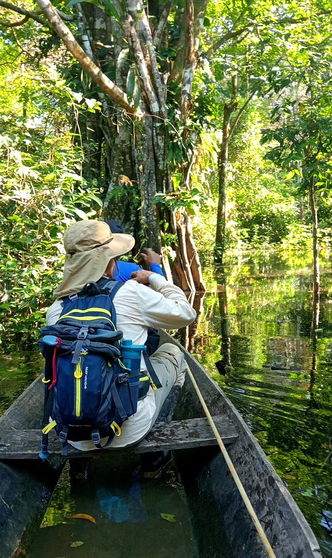 Paddling through the flooded forest