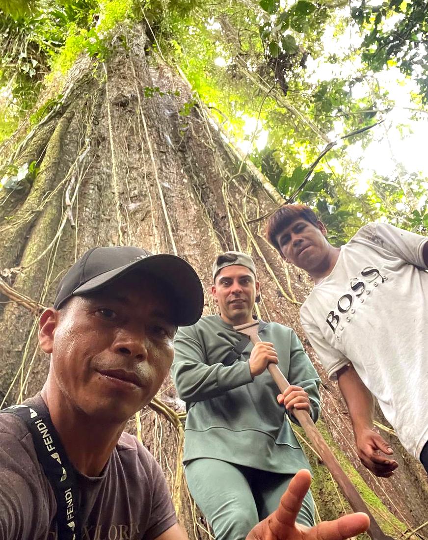 Guides at the roots of a giant tree